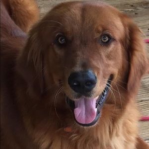 Meet your Posher, Marsha